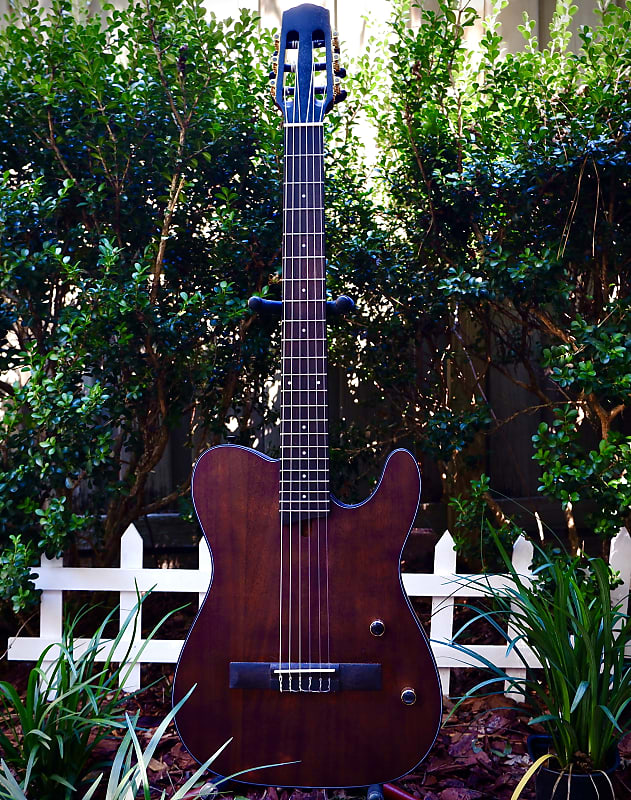 Electric Nylon Guitar Tim Henson Style w/ Gig Bag Reverb