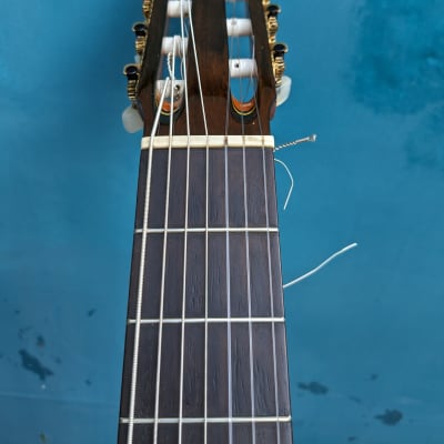 Mário Machado 7-String Guitar,  nylon strings, 2002 image 14