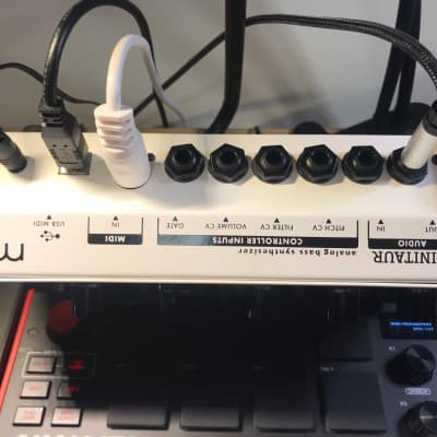 Moog Minitaur Analog Bass Synthesizer - Limited Edition WHITE - only 250 made image 4