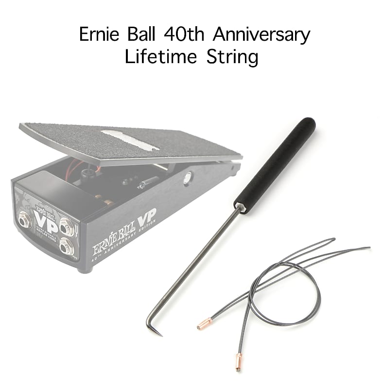 Ernie Ball Lifetime String Replacement Kit for 40th