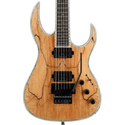BC Rich Guitars Shredzilla Prophecy Archtop Electric Guitar with Floyd Rose, Case, Strap, and Stand, Spalted Maple image 3