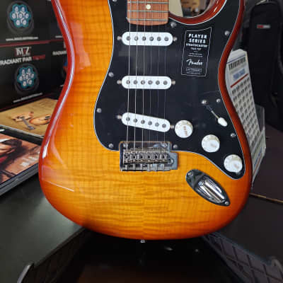 Fender Player Stratocaster Plus Top with Pau Ferro Fretboard 2018 - Present - Tobacco Sunburst image 2