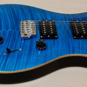 PRS SE Custom 24 2014年モデル Paul Reed Smith(PRS) SE Custom 24 / GRAY BLACK / 2014年製