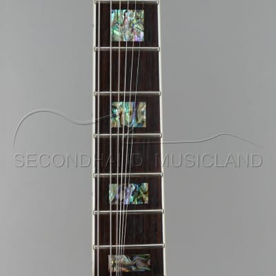 Michael Kelly Michael Kelly E9 Patriot Signature Evan 9 Cage9  Signature guitar inklusive Case image 5