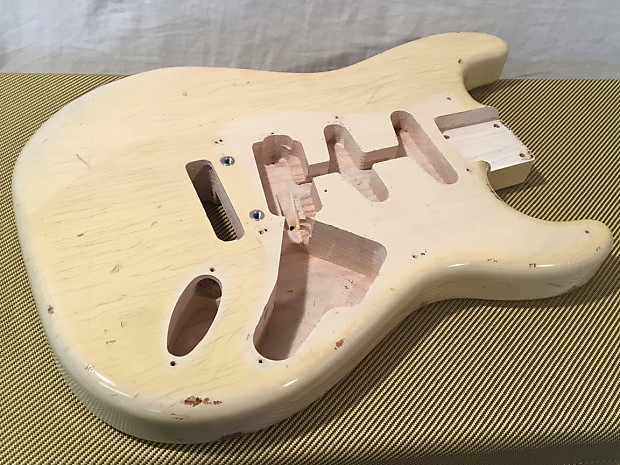 Musikraft body 2025