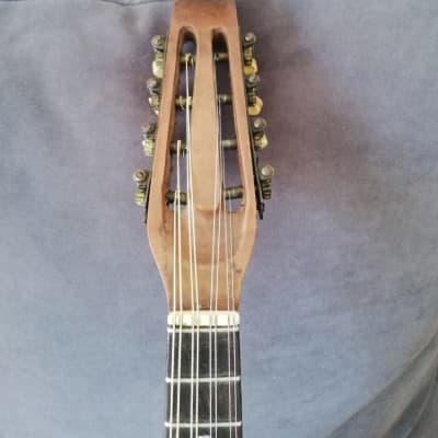 Francesco Olivieri Mandolino image 7
