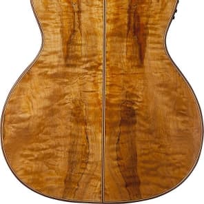 Washburn WCG66SCE Comfort Deluxe Series Cedar Acoustic-Electric Guitar image 9