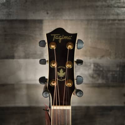 Tagima Vancouver Acoustic Guitar image 3