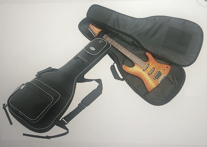 Ibanez IGB101 Electric Guitar Gig Bag | Reverb