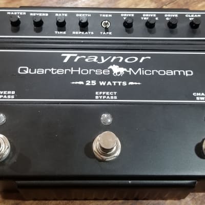 Traynor DH25H QuarterHorse Microamp 25-Watt Stompbox Guitar Amplifier |  Reverb