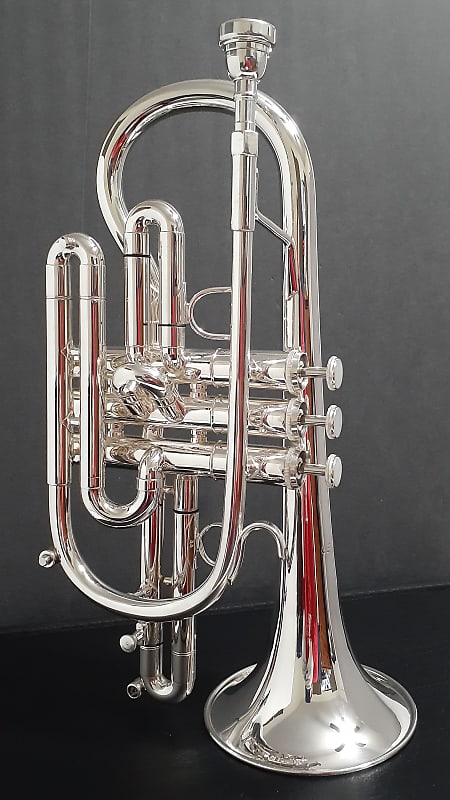 Getzen Eterna PRO 800S Silver Cornet,2 M/P's and Getzen Wood | Reverb