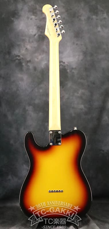 Fujigen (FGN) 2022 KNTE10R | Reverb