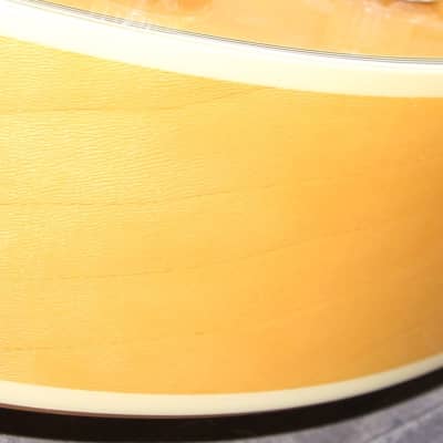 DeArmond X155 1999 Blonde Jazz Guitar with case! image 10