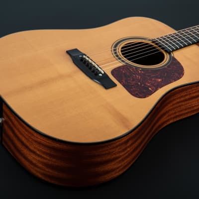 Gallagher G 55 Dreadnought 2011 Natural image 2