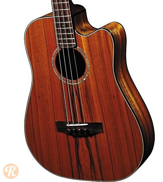 Fender Victor Bailey Acoustic Bass Natural 2008 image 1
