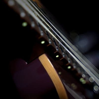 Cort G300PROBK G300 Pro Series Double Cutaway Solid Maple Top Roasted Maple Neck 6-String Electric Guitar image 10