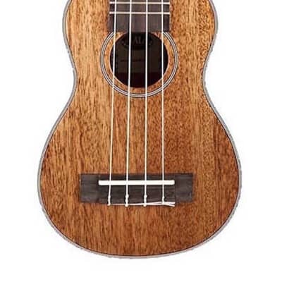 Kala KA-SLNG Gloss Mahogany, Long-Neck Soprano Ukulele