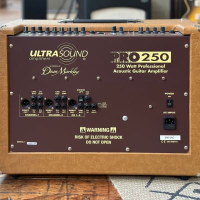 UltraSound Dean Markley Pro-250 Acoustic Amplifier image 10