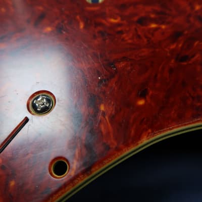 Fender Stratocaster / '63-'71 Tortoise Celluloid 1964 USA Vintage RI Strat 70 image 19