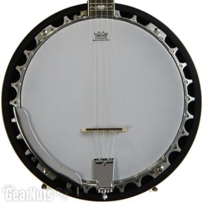 Washburn Americana B10 5-string Resonator Banjo image 2