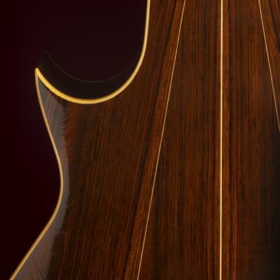 1981 Sergei de Jonge 10 String Classical Guitar - Brazilian Rosewood, Luthier Letter of Appraisal image 11