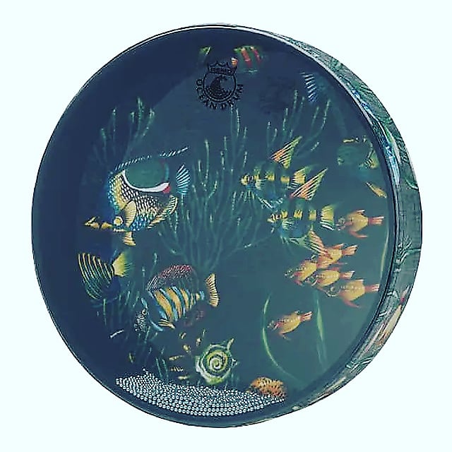 Remo 16 Fish Graphic Ocean Drum