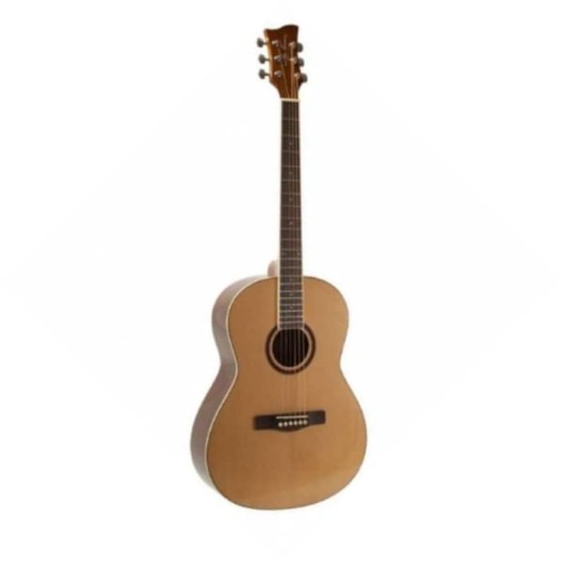 Lindo B-STOCK Left Handed Skull Slim Body Electro Acoustic Guitar With  Preamp / Tuner and Padded Gigbag minor Cosmetic Imperfections -  Canada