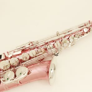 Elkhart Pink Lacquer 100ASP Alto Saxophone – Omega Music