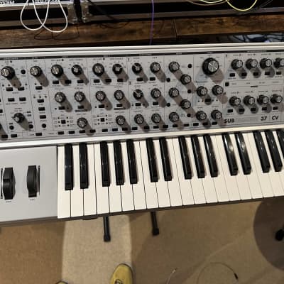 Moog Subsequent 37 CV Paraphonic Analog Synth 2010s - Gray