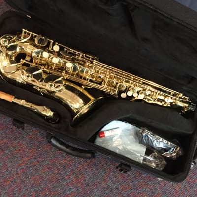 Virtuoso by RS Berkeley Alto Saxophone-VIRT1002L-Brand New-Lacquer-Pro Quality! Nice Horn! image 11