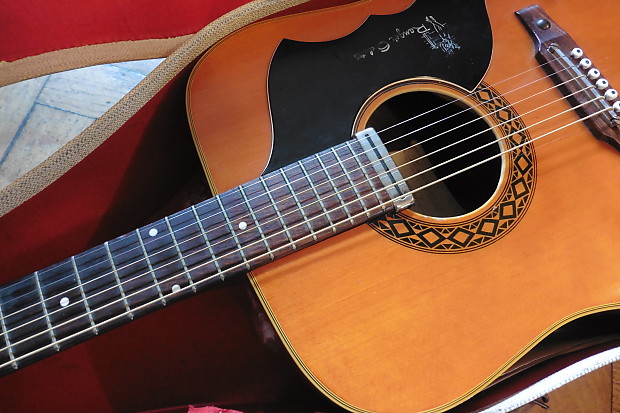 Very Rare Version Eko ('Ranger VI') J54/1 Electro Acoustic c