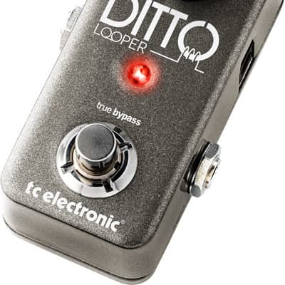 TC Electronic Ditto Looper | Reverb Canada