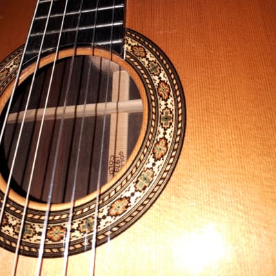 D.W.Stevens 1A  Classical Guitar With Cutaway image 4