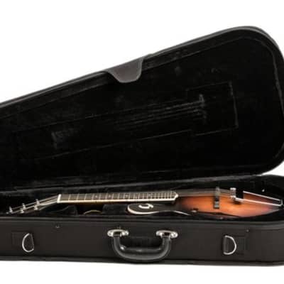 NEW Gold Tone F-6 Manditar WITH Matching Light Hard Case- 6 String Mandolin image 3