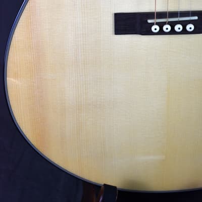 Gold Tone Mastertone TG-18: Tenor Guitar image 13