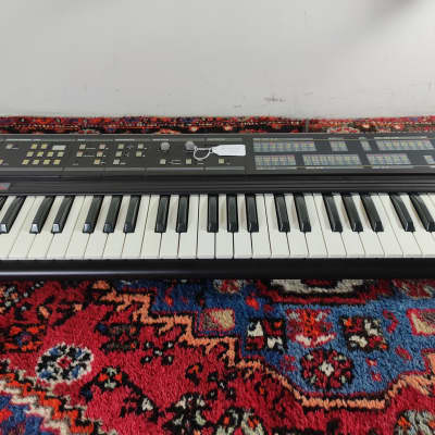 Siel DK80 2 DCO analog  Synthesizer with SSM filter 61 keys (Serviced / Warranty)