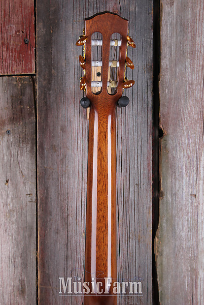 Fender gn45sce clearance