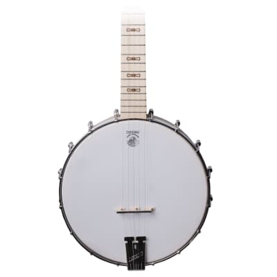 Deering Goodtime Open Back 5 String Banjo image 1