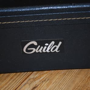 Vintage Guild Acoustic Case 60's - 70's image 3