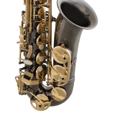 Selmer SAS411 Alto Sax Outfit - Black Nickel Finish image 2