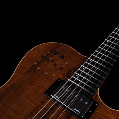 Godin A6 Extreme Ultra Koa HG Electric Acoustic Guitar image 6
