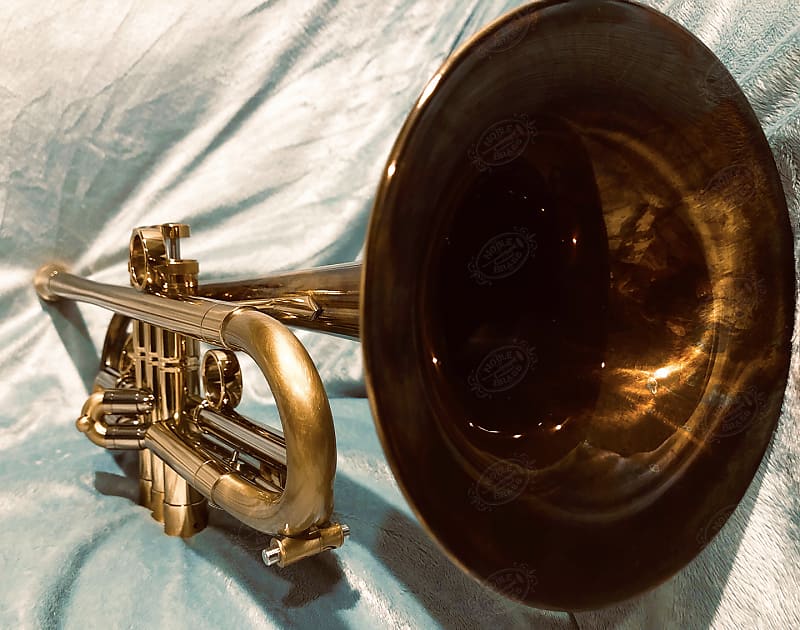 TAYLOR CUSTOM Bb TRUMPET "LOUISIANA"—Amazing Tone+Gorgeous. One-Of-A-Kind. From a Hollywood film!!! image 1