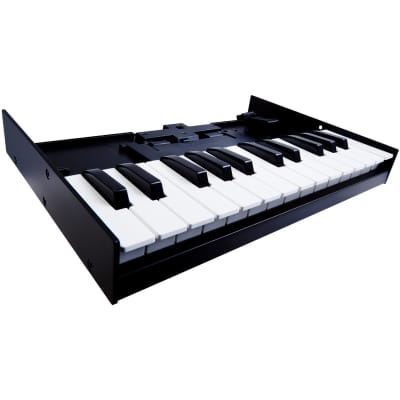 Roland Boutique K-25m Keyboard Unit image 2