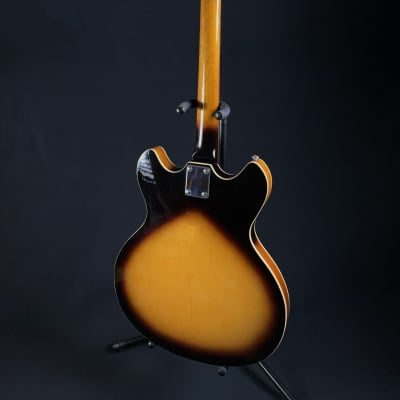 2003 Oscar Schmidt Delta King OE-30/TS Semi-Hollow Body Electric Guitar image 6