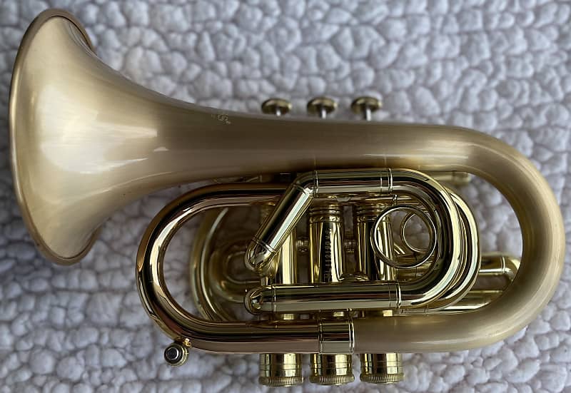 CarolBrass CPT-3000-GLS-Bb-SLB Pocket Trumpet Brass | Reverb