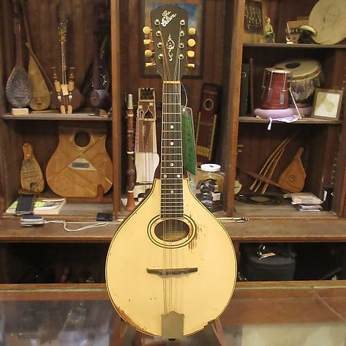 Gibson A3 Mandolin 1920 Reverb