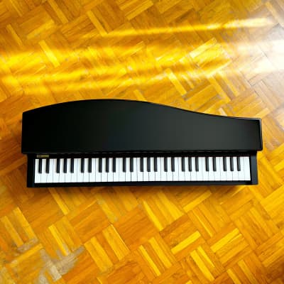 ☆ Brand New! ☆ Korg MicroPiano made in Japan - Mini Piano Keyboard 61 Key! Very great professional sounds! With original box, packaging, manual, p.supply! Impossible to find! image 17