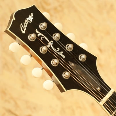 Collings MT-2 image 8