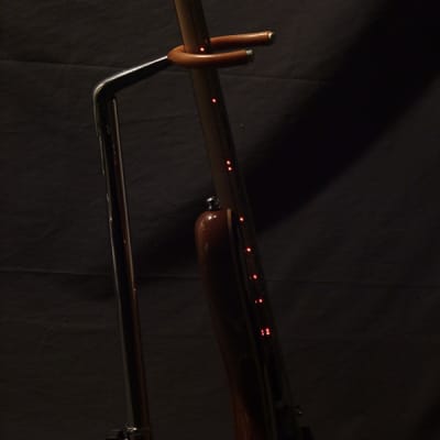 Alembic Darling Coco Bolo./LEDS/ Wood neck binding and more image 6