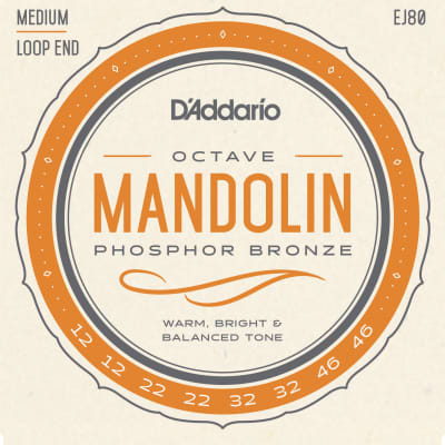 D'Addario EJ80 Phosphor Bronze Octave Mandolin Strings Medium 12-46